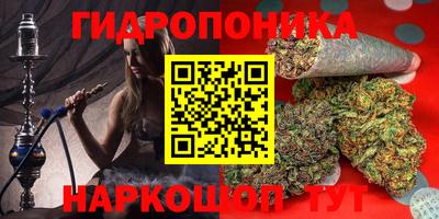 PSILOCYBIN Кинель