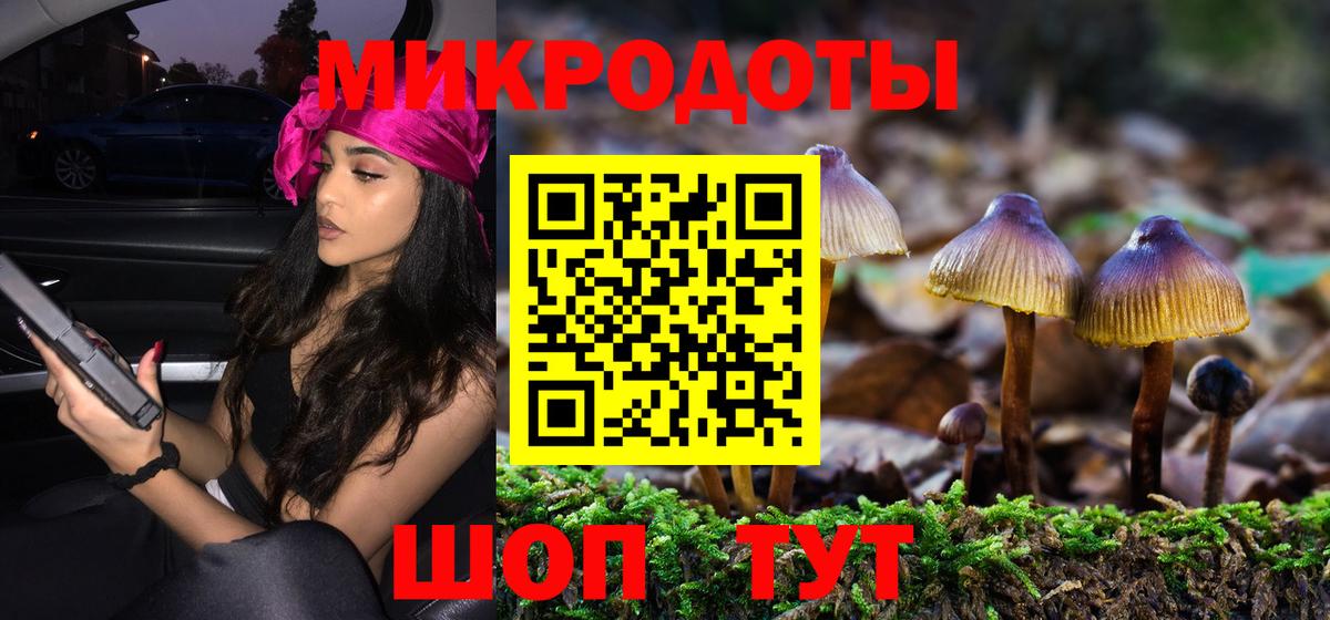 Галлюциногенные грибы ЛСД  Вход с VPN  Галлюциногенные грибы GOLDEN TEACHER  Кизляр 