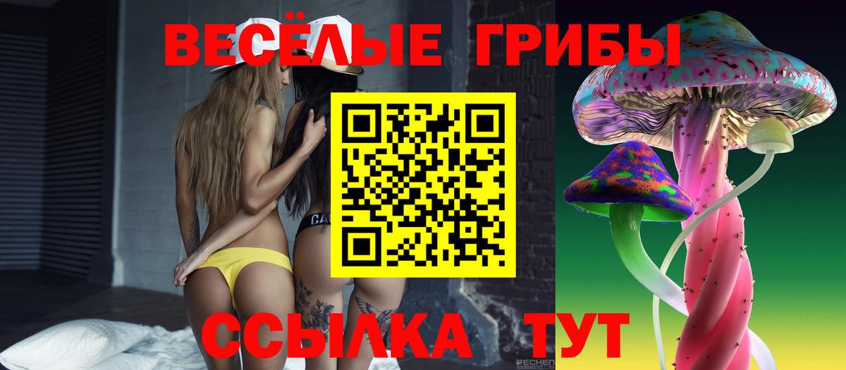 Псилоцибиновые грибы Cubensis Кизляр
